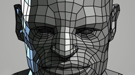 Buster | Head Wireframe