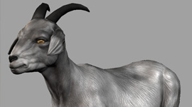Socom | Goat Texture